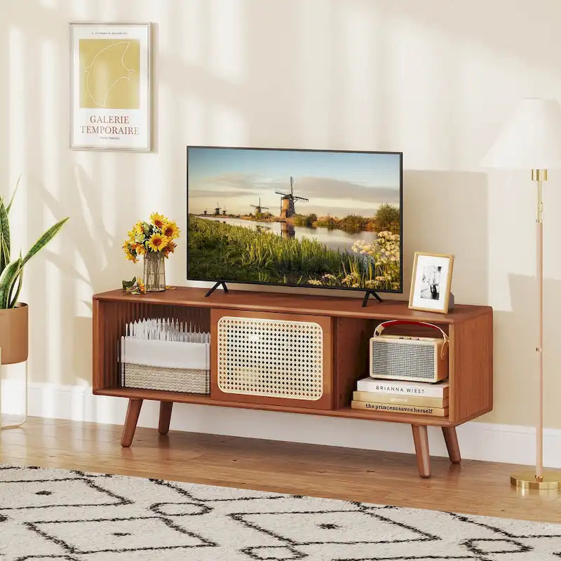 Modern TV Stand Entertainment Center Media Console with Rattan
